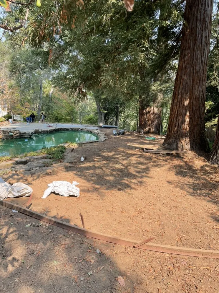 Local yard maintenance in Redwood City, CA by Rico’s landscaping
