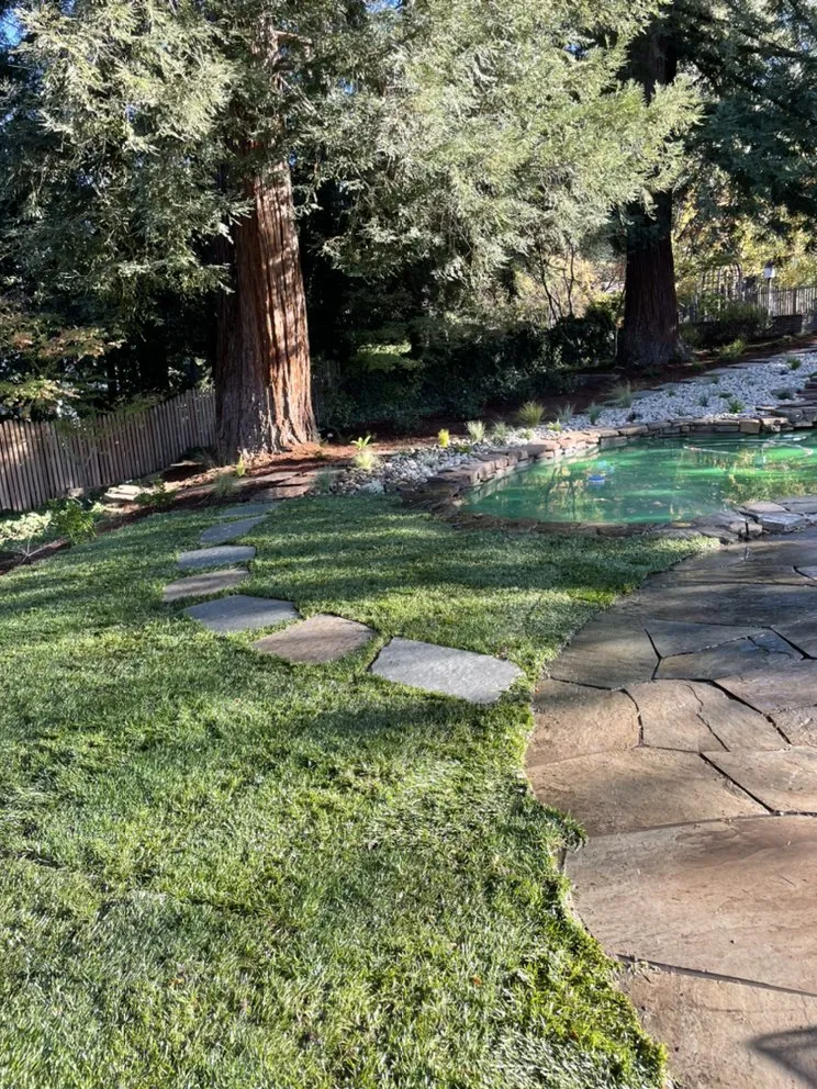 Expert lawn care service near you across Redwood City, CA - Rico’s landscaping