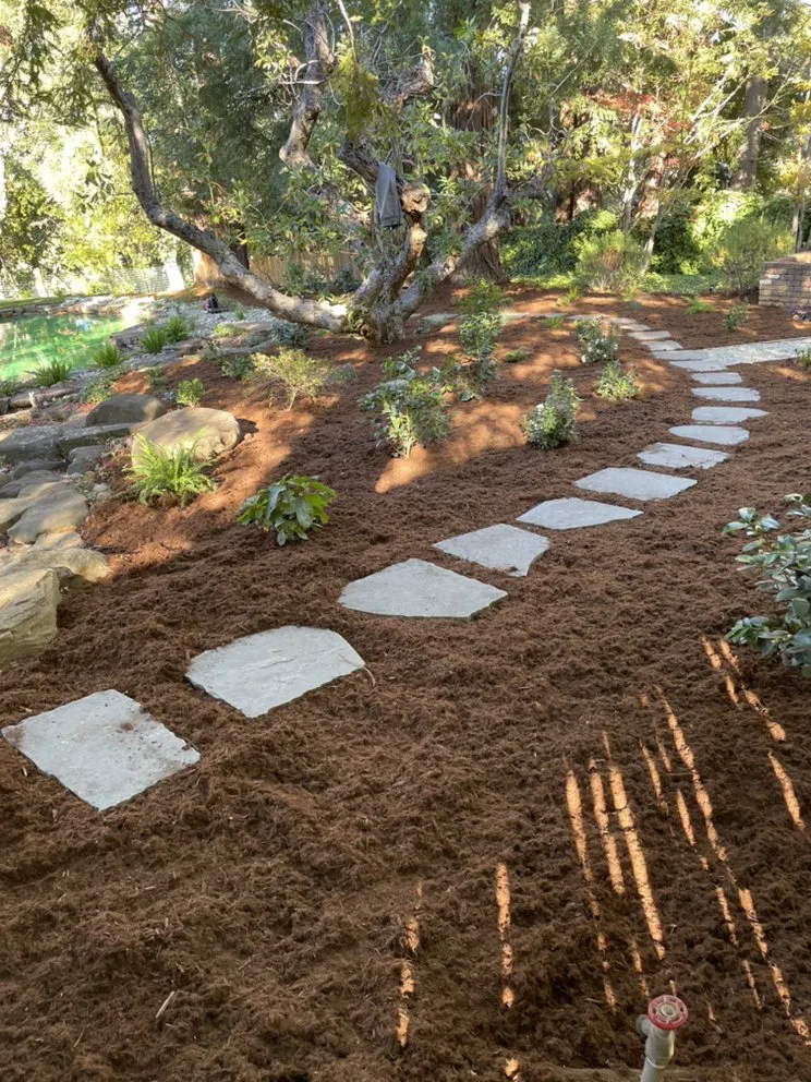 Top-rated residential landscaping for year-round maintenance in Redwood City, CA by Rico’s landscaping