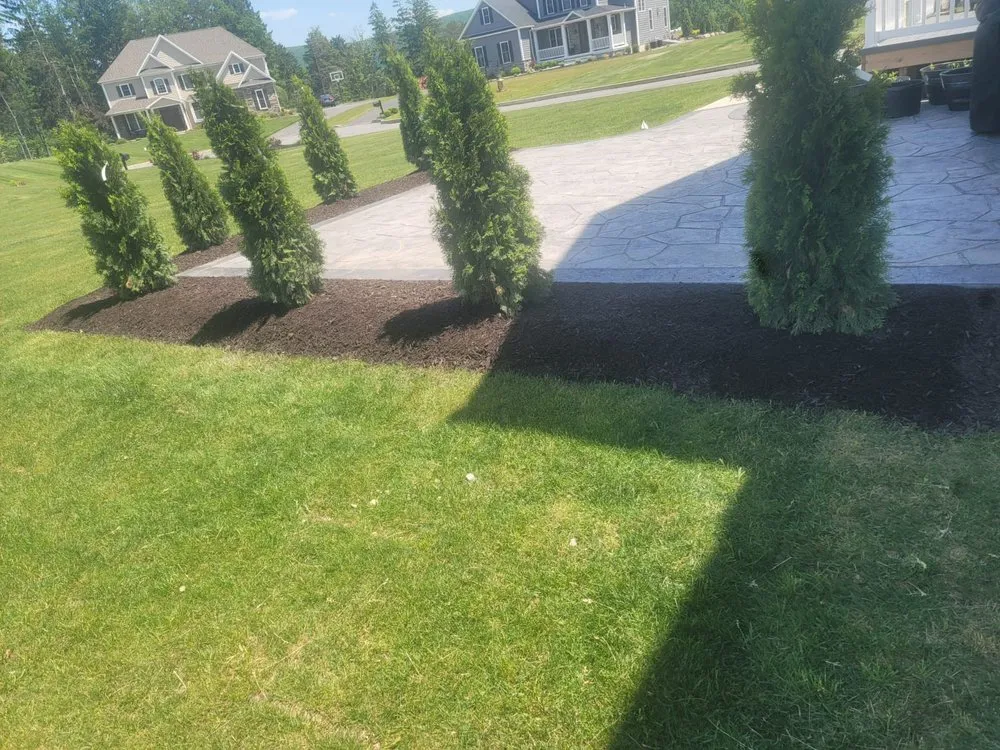 Reliable landscaping services near you in Scranton, PA by Rico's Landscaping