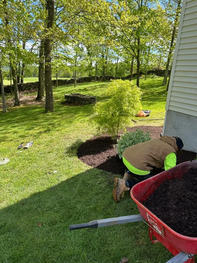 Expert yard maintenance near you in Scranton, PA by Rico's Landscaping