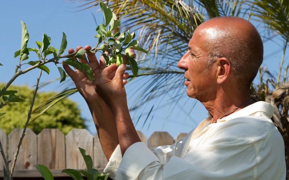 Top-rated outdoor landscaping for beautiful yards in Malibu, CA by Rico's Organics