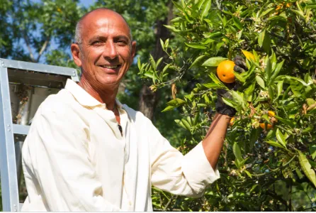 Professional landscape design in Malibu, CA by Rico's Organics