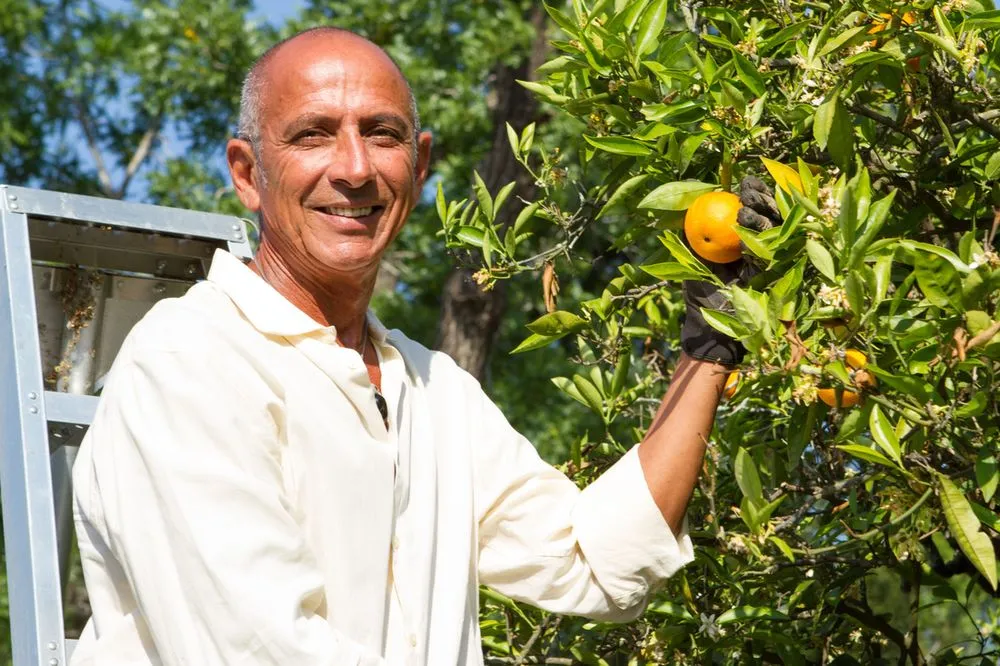 Affordable lawn care service near you across Malibu, CA - Rico's Organics