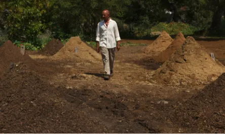 Affordable outdoor landscaping in Malibu, CA - Rico's Organics