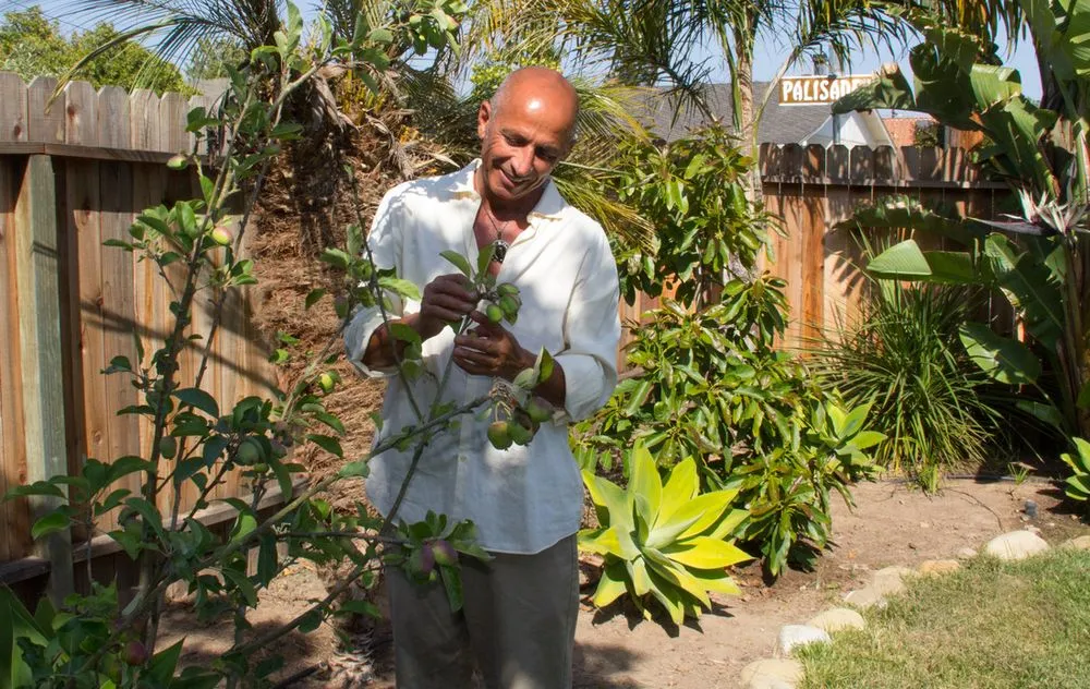 Affordable landscape design for beautiful yards across Malibu, CA - Rico's Organics