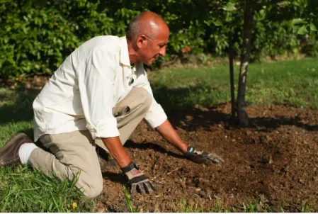 Top-rated outdoor landscaping in Malibu, CA by Rico's Organics