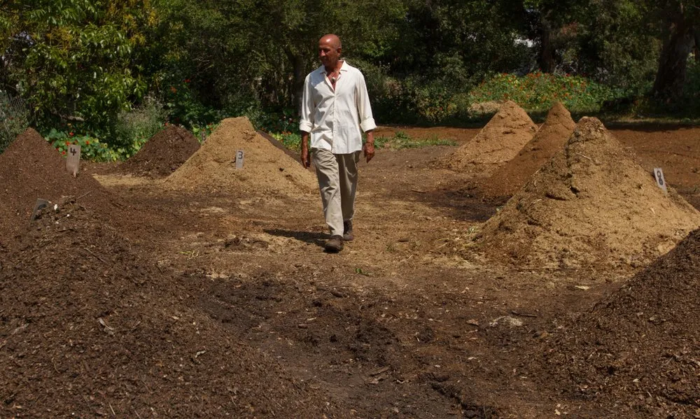 Local yard cleanup service in Malibu, CA - Rico's Organics