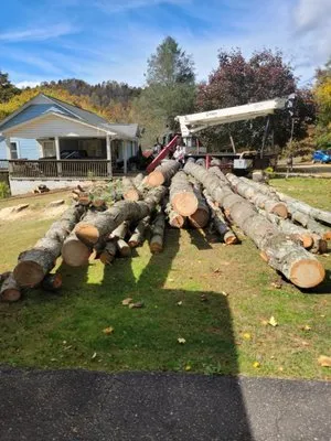 Ricos Tree and Lanscaping