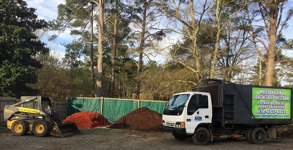 Local landscaping services for year-round maintenance across Powder Springs, GA - Rid Property Services