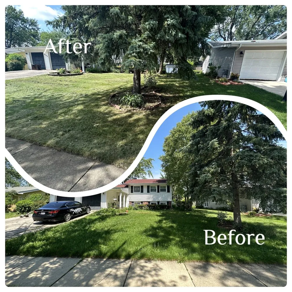 Professional yard cleanup service near you across Batavia, IL - Riddle Lawn Care & Pressure Washing