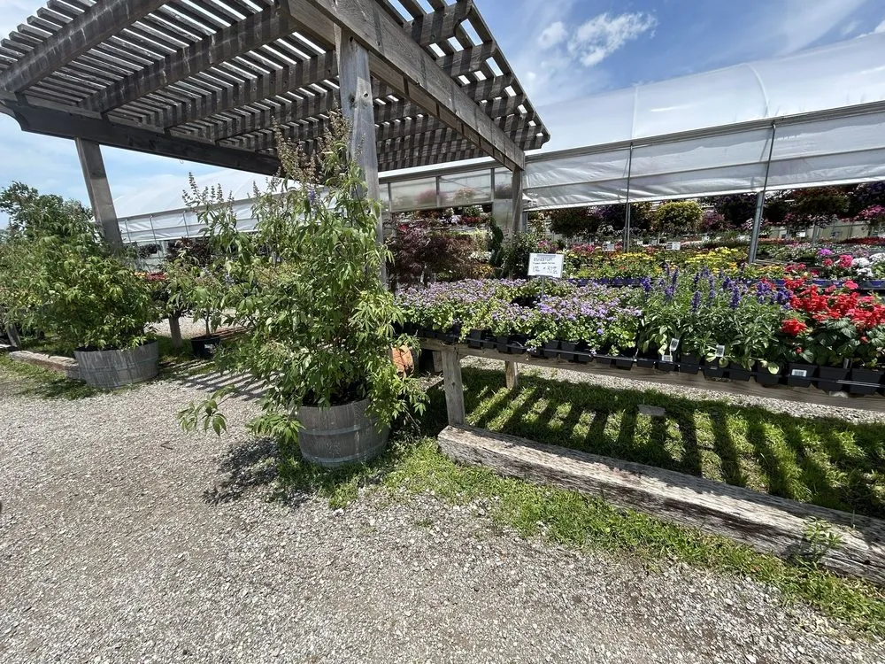 Trusted landscaping services experts serving Broken Arrow, OK - Riddle Plant Farm & Landscaping