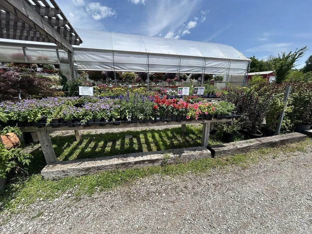 Local yard cleanup service in Broken Arrow, OK - Riddle Plant Farm & Landscaping