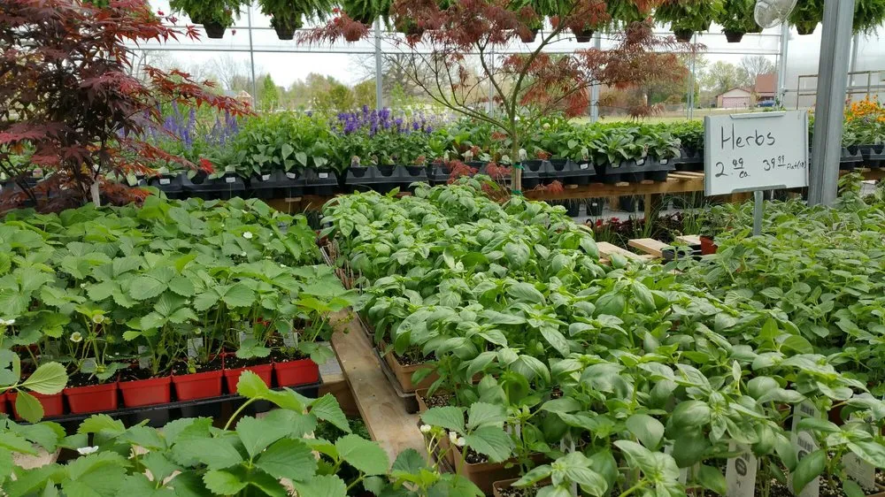 Custom landscaping services for year-round maintenance in Broken Arrow, OK by Riddle Plant Farm & Landscaping