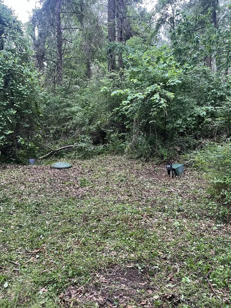 Trusted yard cleanup service in Waskom, TX - Riddles Lawn Care Services