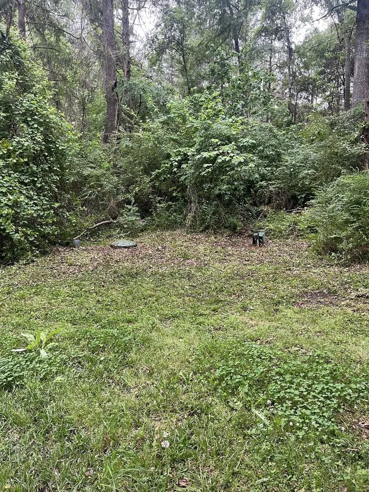 Top-rated landscaping services in Waskom, TX - Riddles Lawn Care Services