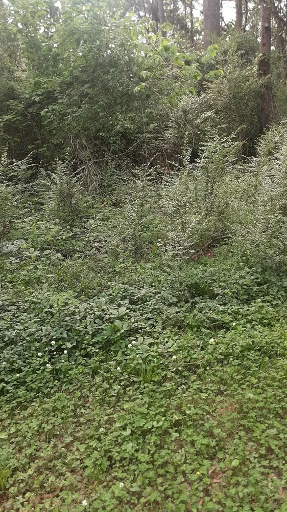 Reliable landscape installation in Waskom, TX by Riddles Lawn Care Services