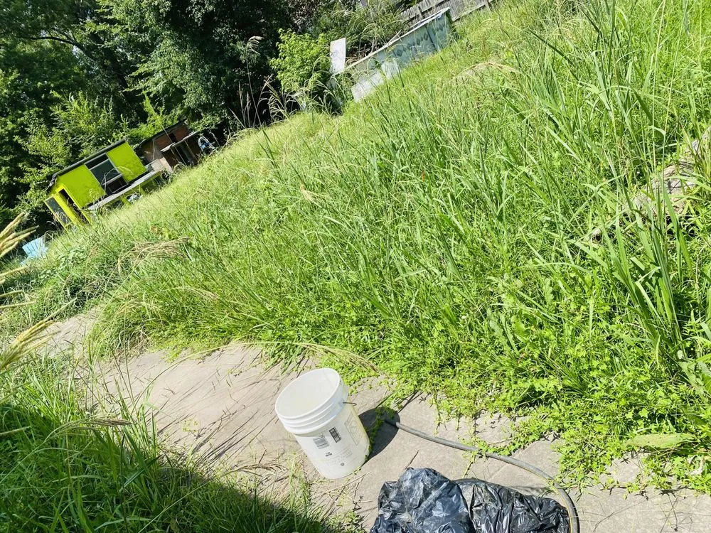 Top-rated yard maintenance for outdoor upgrades in Macon, GA by Rideau's Landcare & Pinestraw