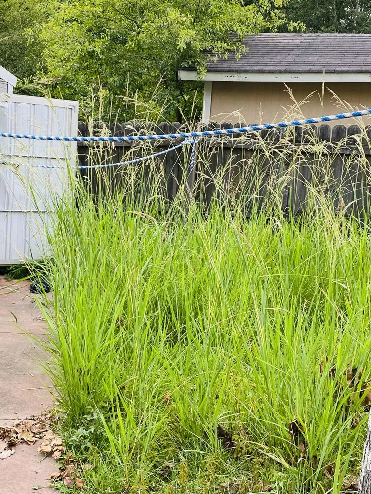 Trusted landscape design near you in Macon, GA by Rideau's Landcare & Pinestraw