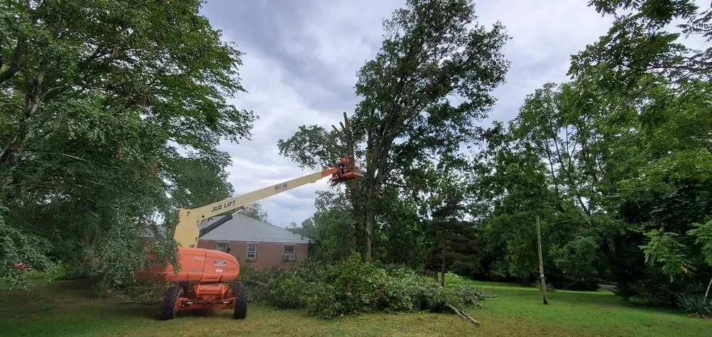 Local landscape design for outdoor upgrades in Elizabethtown, PA by Riden Works