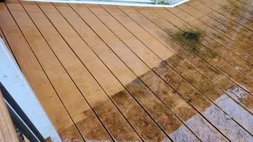 Affordable residential landscaping experts serving Elizabethtown, PA - Riden Works