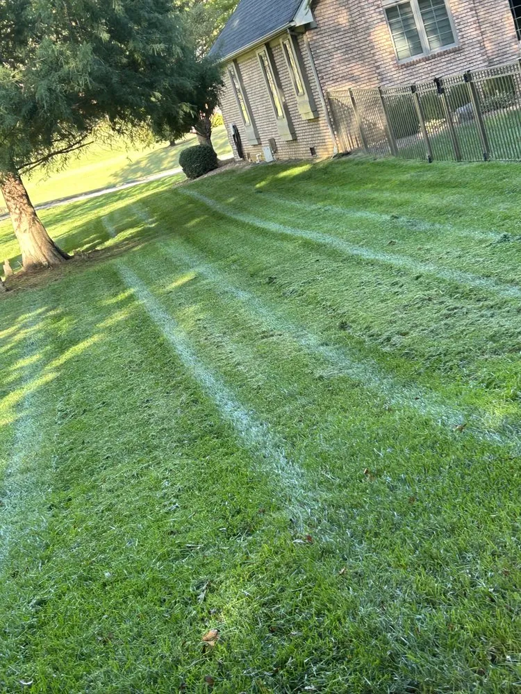 Top-rated lawn care service in Henderson, KY by Rideout’s Property Services