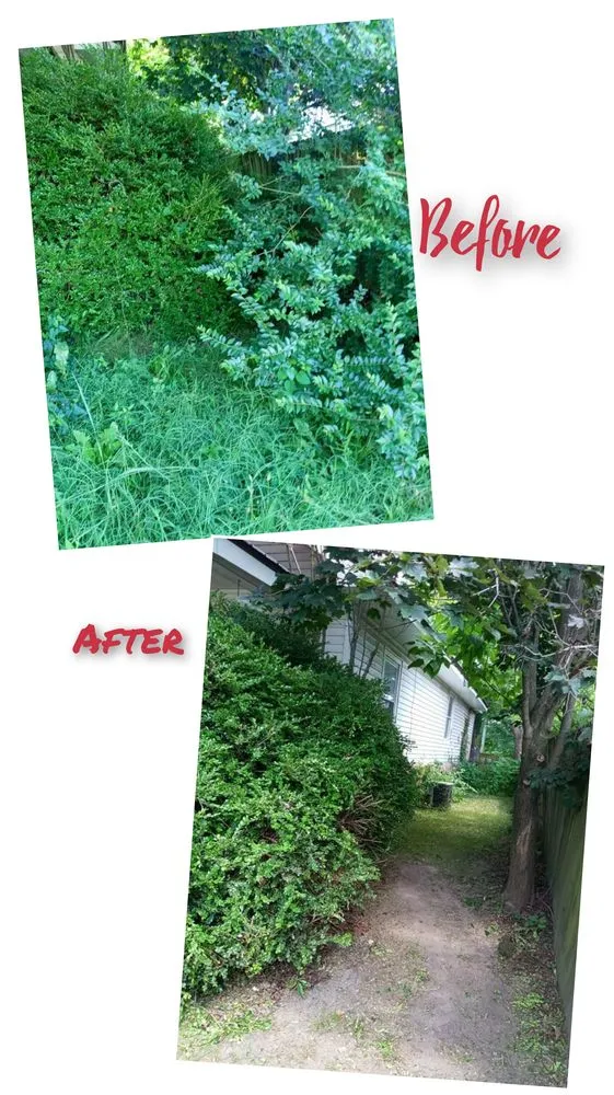Expert lawn mowing service for year-round maintenance across Monkey Island, OK - Rider Lawn & Tree Care