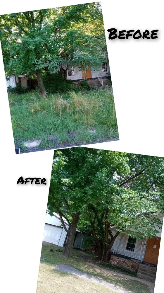 Top-rated landscaping services in Monkey Island, OK - Rider Lawn & Tree Care