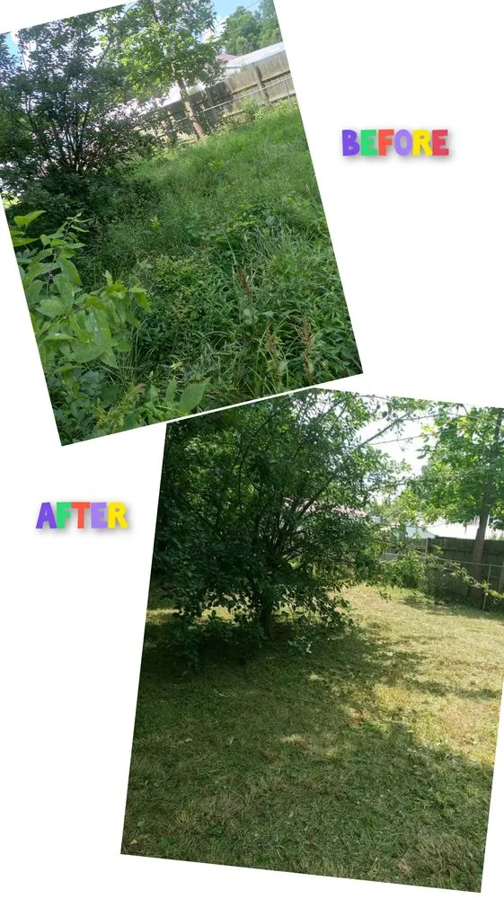 Top-rated yard cleanup service for beautiful yards in Monkey Island, OK by Rider Lawn & Tree Care