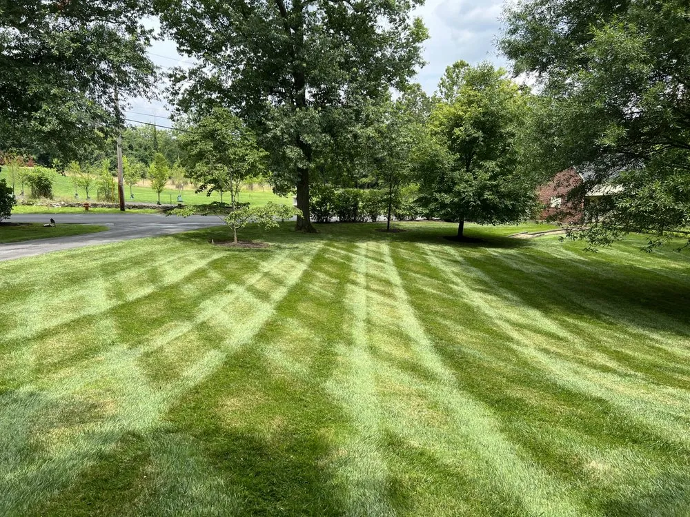 Affordable residential landscaping experts serving Luthvle Timon, MD - Rider Lawn Service