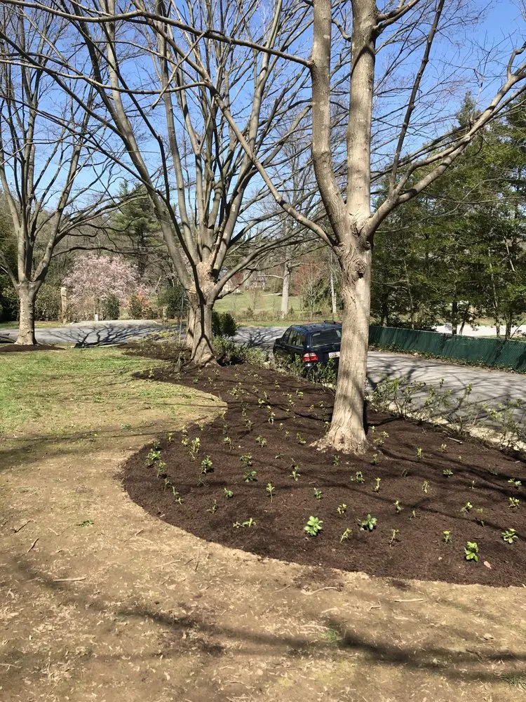 Top-rated landscape installation for year-round maintenance across Luthvle Timon, MD - Rider Lawn Service
