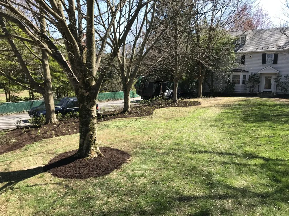 Reliable landscaping services in Luthvle Timon, MD by Rider Lawn Service