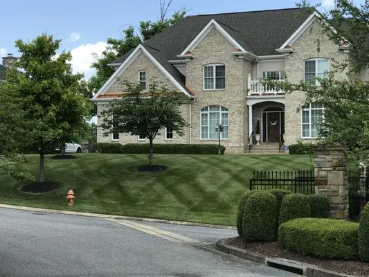 Rider Lawn Service