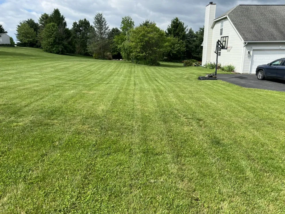 Affordable landscape installation experts serving Port Matilda, PA - Rider's Outdoor Property Maintenance