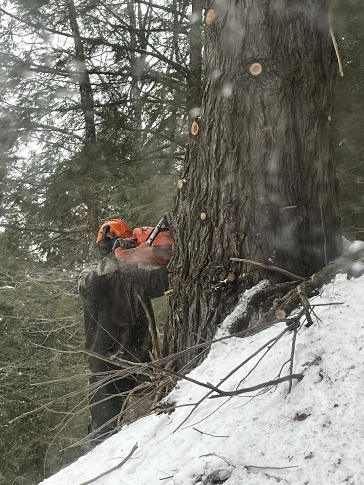 Affordable landscape design near you across Wolcott, VT - Ridge Construction