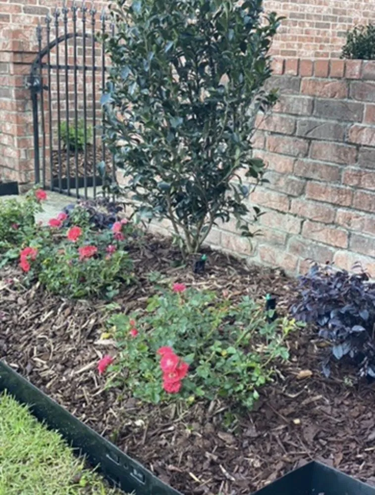 Local outdoor landscaping experts serving Gloster, MS - Ridge Forum Landscaping