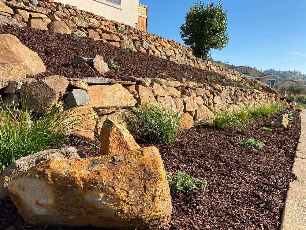 Affordable yard maintenance in Healdsburg, CA - Ridge Landscape