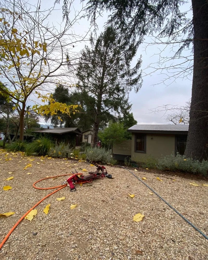 Top-rated garden landscaping experts serving Healdsburg, CA - Ridge Landscape