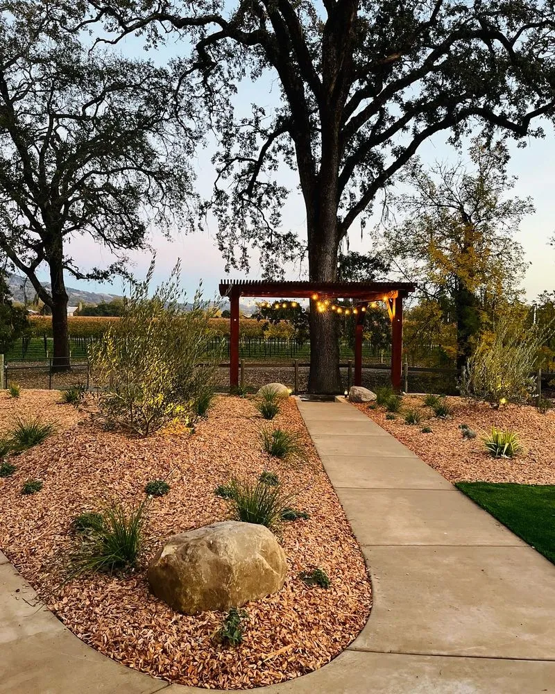 Trusted yard cleanup service in Healdsburg, CA by Ridge Landscape