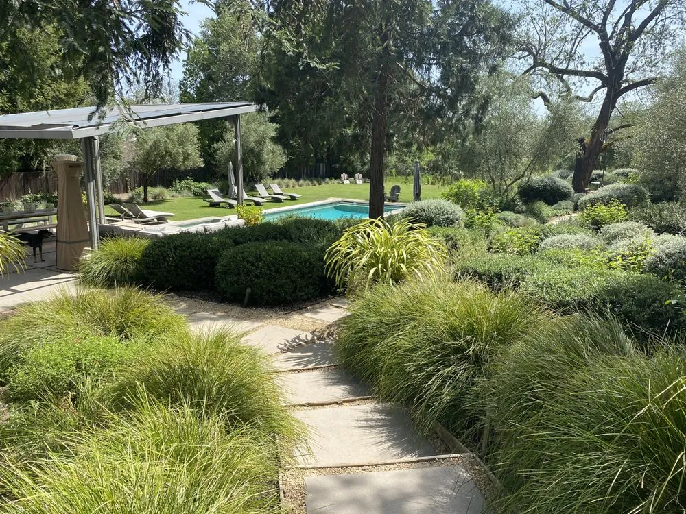 Trusted lawn care service in Healdsburg, CA by Ridge Landscape