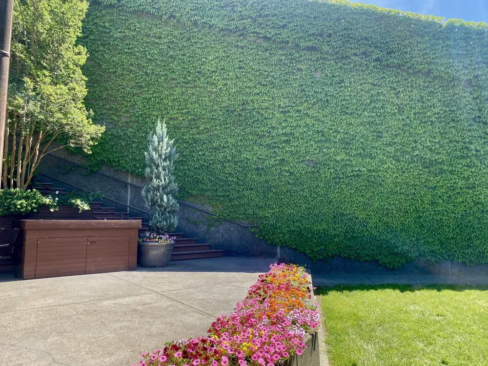 Reliable lawn care service for outdoor upgrades across Healdsburg, CA - Ridge Landscape