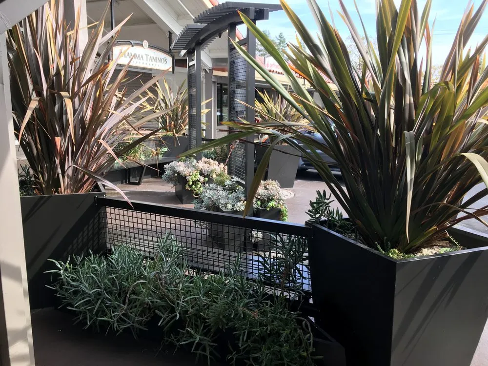 Reliable lawn care service in Healdsburg, CA - Ridge Landscape