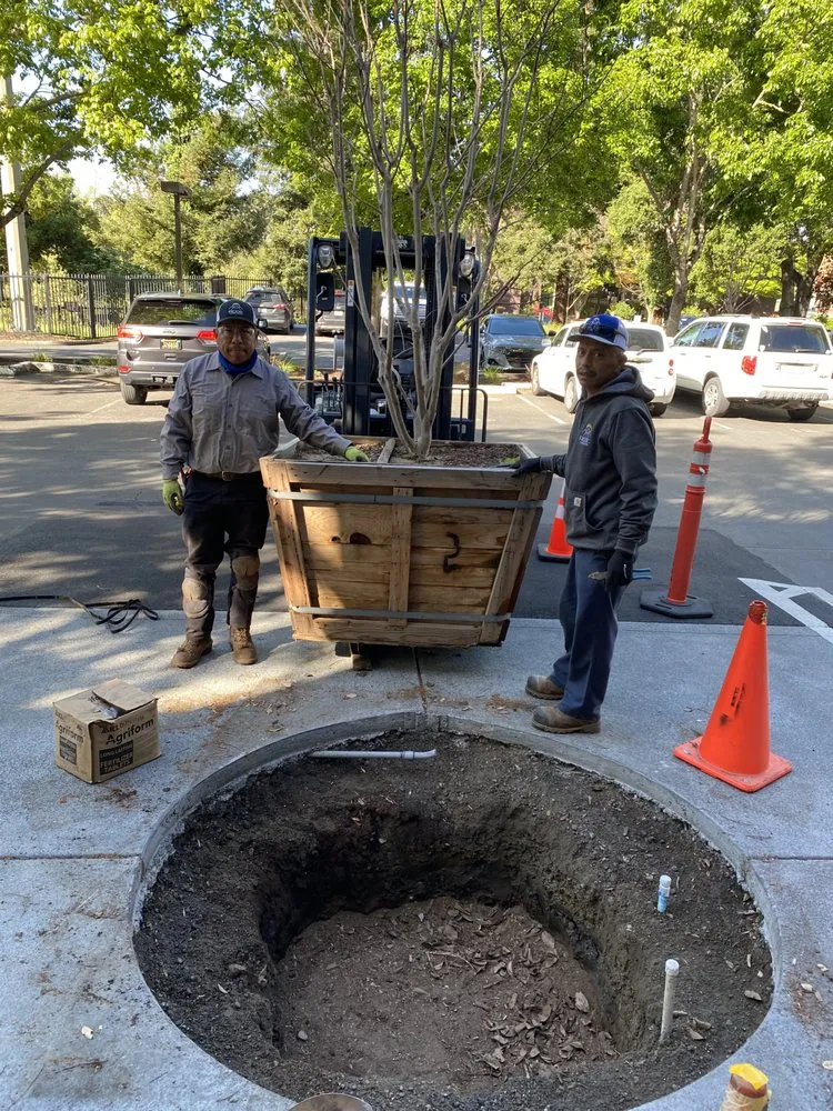 Expert landscape design in Healdsburg, CA - Ridge Landscape