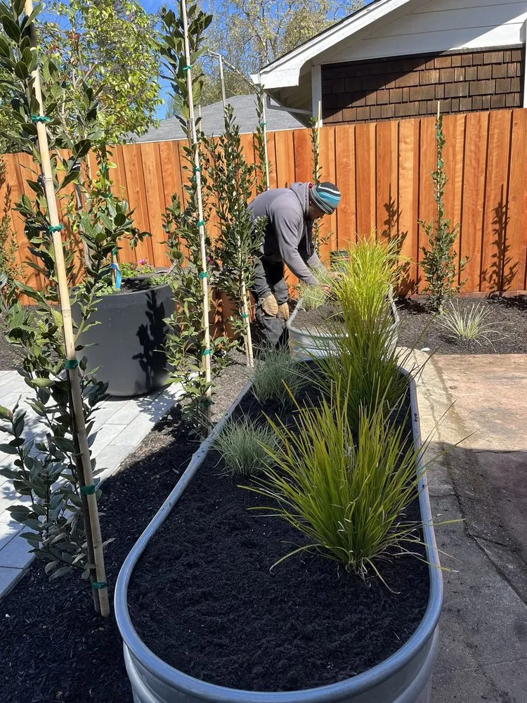 Professional landscape installation in Healdsburg, CA - Ridge Landscape
