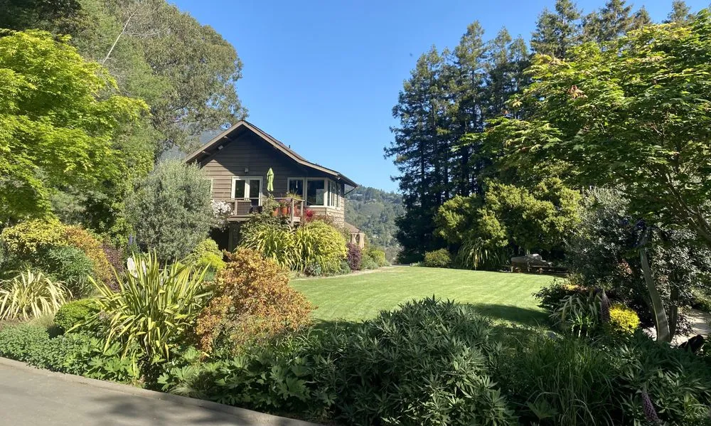 Affordable yard cleanup service experts serving Healdsburg, CA - Ridge Landscape