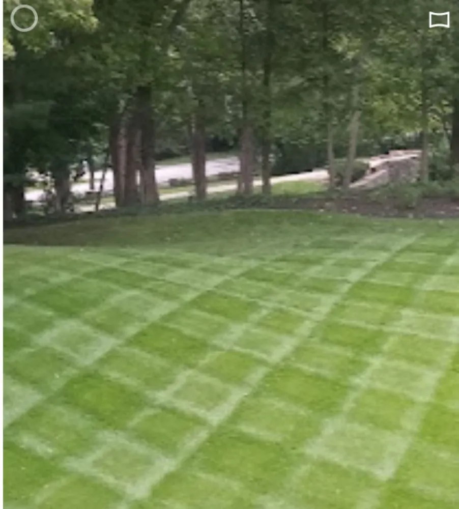 Custom yard cleanup service near you across Independence, MO - Ridge Lawn Care