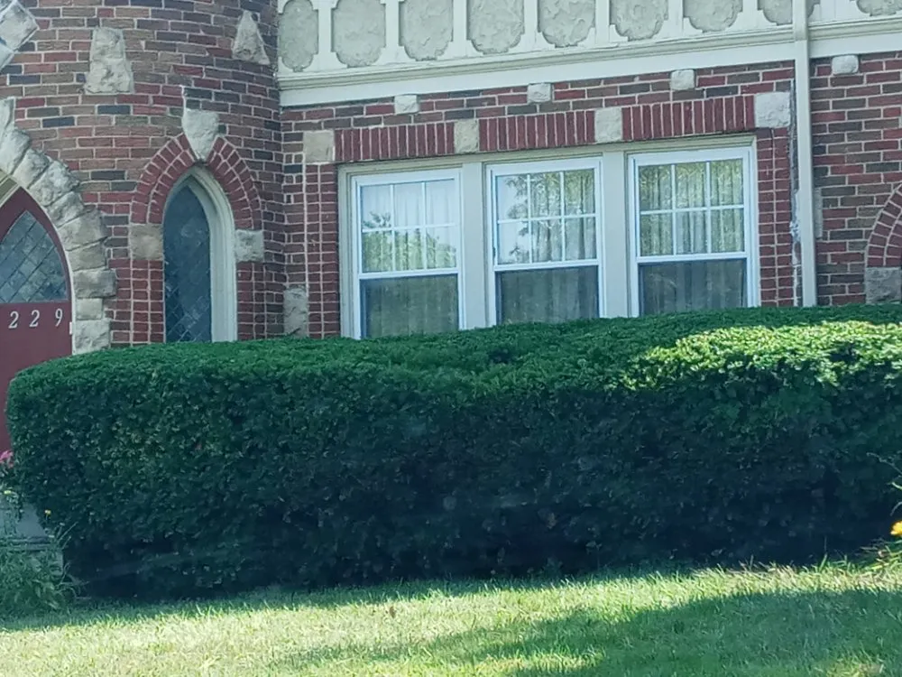 Top-rated yard maintenance in Independence, MO by Ridge Lawn Care