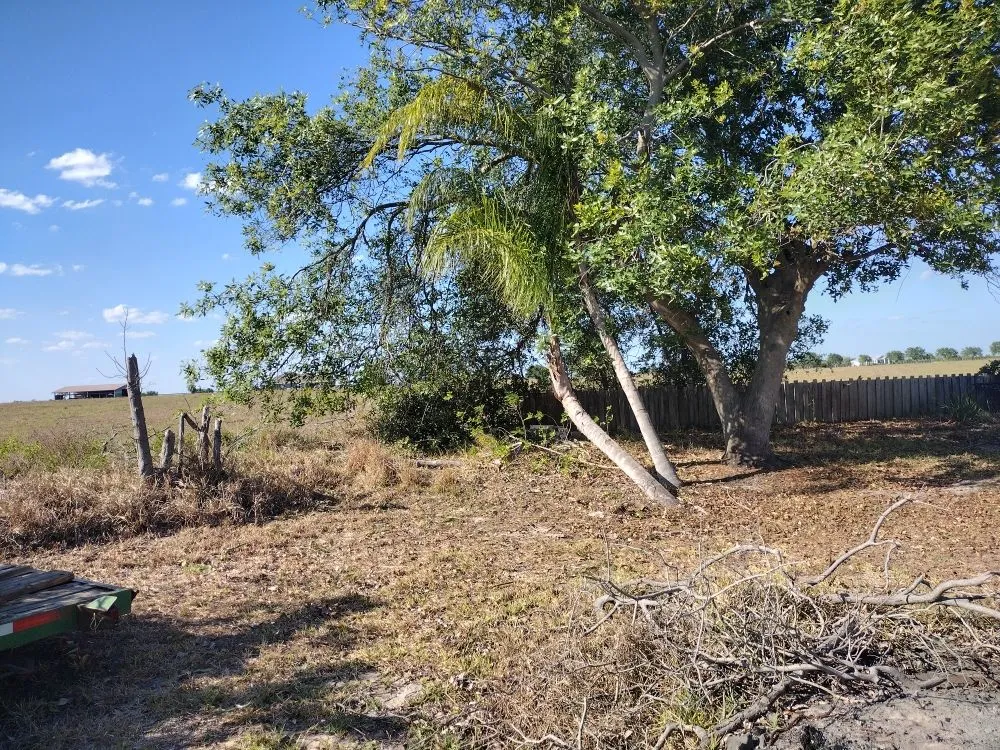 Expert lawn mowing service near you in Lake Placid, FL by Ridge Property Management