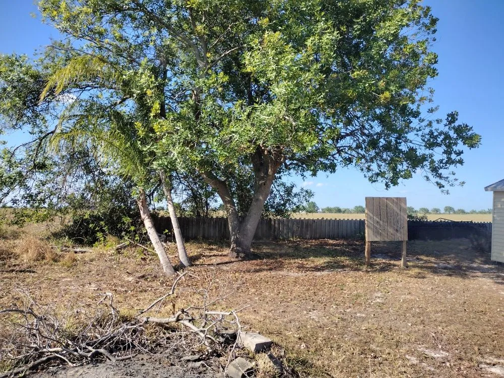 Local outdoor landscaping with custom design in Lake Placid, FL by Ridge Property Management