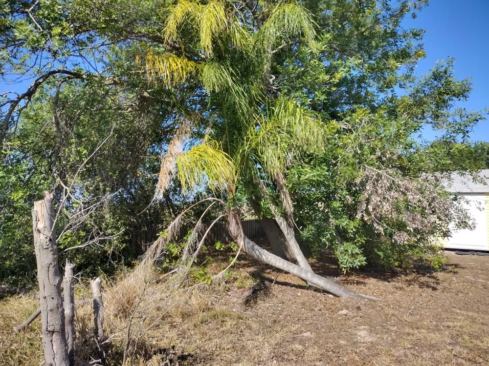 Custom landscape design experts serving Lake Placid, FL - Ridge Property Management